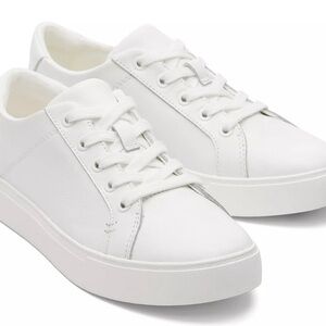 Toms Women's White Sneakers